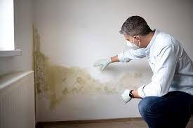 Why You Should Choose Our Mold Remediation Services in Bayou Cane, LA